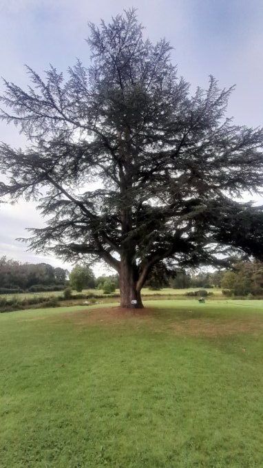 Domaine des Hayes à Maxent  35 en Ille et Vilaine Région Bretagne